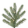 Vickerman 6.5' Colorado Spruce Slim Christmas Tree with Warm White LED Lights Image 1