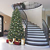 Vickerman 6.5' Colorado Spruce Slim Christmas Tree with Warm White LED Lights Image 2