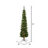 Vickerman 6.5' Durham Pole Pine Christmas Tree with Warm White LED Lights Image 2