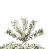 Vickerman 6.5' Flocked Pacific Christmas Tree - Unlit Image 1