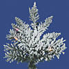 Vickerman 6.5' Flocked Utica Fir Slim Christmas Tree with Multi Lights Image 1