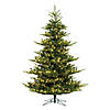 Vickerman 6.5' Hudson Fraser Fir Artificial Christmas Tree, Dura-Lit&#174; LED Warm White Mini Lights Image 1
