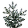 Vickerman 6.5' Imperial Blue Spruce Artificial Christmas Tree, Dura-Lit&#174; LED Warm White Mini Lights Image 1