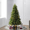 Vickerman 6.5' Jersey Fraser Fir Artificial Christmas Tree, Dura-Lit&#174; LED Warm White Mini Lights Image 1