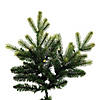 Vickerman 6.5' Jersey Fraser Fir Artificial Christmas Tree, Dura-Lit&#174; LED Warm White Mini Lights Image 2