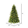 Vickerman 6.5' Jersey Fraser Fir Artificial Christmas Tree, Dura-Lit&#174; LED Warm White Mini Lights Image 4