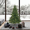 Vickerman 6.5' Mixed Country Pine Christmas Tree - Unlit Image 3