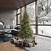 Vickerman 6.5' Mixed Country Pine Slim Artificial Christmas Tree, Warm White Dura-Lit&#174; LED Lights Image 1