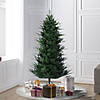 Vickerman 6.5' North Shore Fraser Fir Artificial Christmas Tree, Unlit Image 1