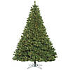 Vickerman 6.5' Oregon Fir Artificial Christmas Tree, Clear Dura-lit Lights Image 1