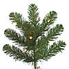 Vickerman 6.5' Oregon Fir Artificial Christmas Tree, Clear Dura-lit Lights Image 2