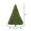 Vickerman 6.5' Oregon Fir Artificial Christmas Tree, Clear Dura-lit Lights Image 3