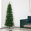 Vickerman 6.5' Salem Pencil Pine Christmas Tree - Unlit Image 3