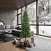 Vickerman 6.5' Salem Pencil Pine Christmas Tree with Warm White LED Lights Image 3