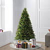 Vickerman 6.5' Tiffany Fraser Fir Artificial Christmas Tree, Dura-Lit&#174; LED Warm White Mini Lights Image 1