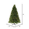 Vickerman 6.5' Tiffany Fraser Fir Artificial Christmas Tree, Dura-Lit&#174; LED Warm White Mini Lights Image 4