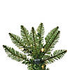 Vickerman 6.5' x 32" Creswell Pine Artificial Pencil Christmas Tree, Warm White Dura-Lit&#174; LED Lights Image 1