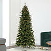 Vickerman 6.5' x 40" Douglas Fir Artificial Slim Pre-Lit Christmas Tree, Warm White 3mm Low Voltage LED Wide Angle Lights. Image 1