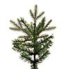 Vickerman 6.5' x 40" Douglas Fir Artificial Slim Pre-Lit Christmas Tree, Warm White 3mm Low Voltage LED Wide Angle Lights. Image 2