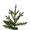 Vickerman 6.5' x 42" Kamas Fraser Fir Artificial Christmas Tree, Warm White Low Voltage 3MM LED Lights Image 2