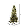 Vickerman 6.5' x 42" Kamas Fraser Fir Artificial Christmas Tree, Warm White Low Voltage 3MM LED Lights Image 3
