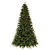 Vickerman 6.5' x 50" Douglas Fir Artificial Pre-Lit Christmas Tree, Warm White 3mm Low Voltage LED Wide Angle Lights. Image 1