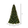 Vickerman 6.5' x 50" Douglas Fir Artificial Pre-Lit Christmas Tree, Warm White 3mm Low Voltage LED Wide Angle Lights. Image 3