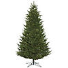 Vickerman 6.5' x 51" Fresh Fraser Fir Artificial Christmas Tree, Warm White Dura-lit LED Lights Image 1