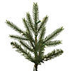 Vickerman 6.5' x 51" Fresh Fraser Fir Artificial Christmas Tree, Warm White Dura-lit LED Lights Image 2