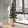 Vickerman 6' Alpine Christmas Tree - Unlit Image 2