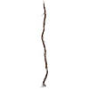 Vickerman 6' Artificial Basil Twig Garland. Image 1