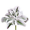 Vickerman 6" Artificial Frosted Succulents, Pack of 3 Image 2