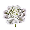 Vickerman 6" Artificial Frosted Succulents, Pack of 3 Image 3