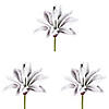 Vickerman 6" Artificial Frosted Succulents, Pack of 3 Image 4