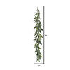 Vickerman 6' Artificial Green Muddy White Willow Garland Image 1