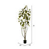 Vickerman 6' Artificial Green Potted Cotinus Coggygria Tree Image 2