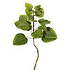 Vickerman 6' Artificial Green Potted Cotinus Coggygria Tree Image 3