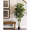 Vickerman 6' Artificial Green Potted Fiddle Tree Image 1