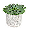 Vickerman 6" Artificial Green Potted Succulent, Pack of 2 Image 1