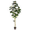 Vickerman 6' Artificial Potted Fig Tree Image 1