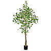 Vickerman 6' Artificial Potted Ginkgo Tree Image 1