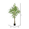 Vickerman 6' Artificial Potted Ginkgo Tree Image 2