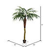 Vickerman 6' Artificial Potted Pheonix Palm Tree Image 4