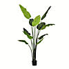 Vickerman 6' Artificial Potted Travellers Palm Tree Image 1