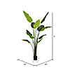Vickerman 6' Artificial Potted Travellers Palm Tree Image 2