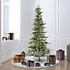 Vickerman 6' Ashland Christmas Tree - Unlit Image 3