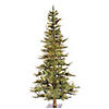 Vickerman 6' Ashland Christmas Tree with Warm White LED Lights Image 1