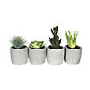 Vickerman 6" Assorted Potted Succulents - 4/pk Image 1