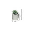 Vickerman 6" Assorted Potted Succulents - 4/pk Image 1