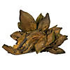 Vickerman 6" Basil Star Pod, 1 piece, Dried Image 2